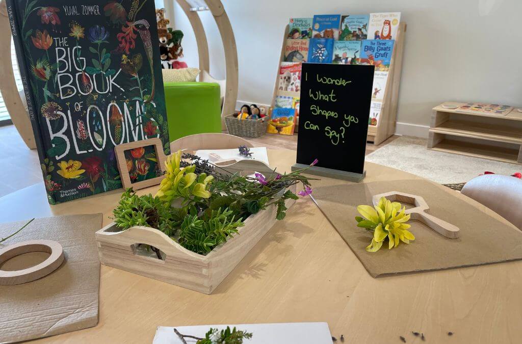 Nursery area exploring plants